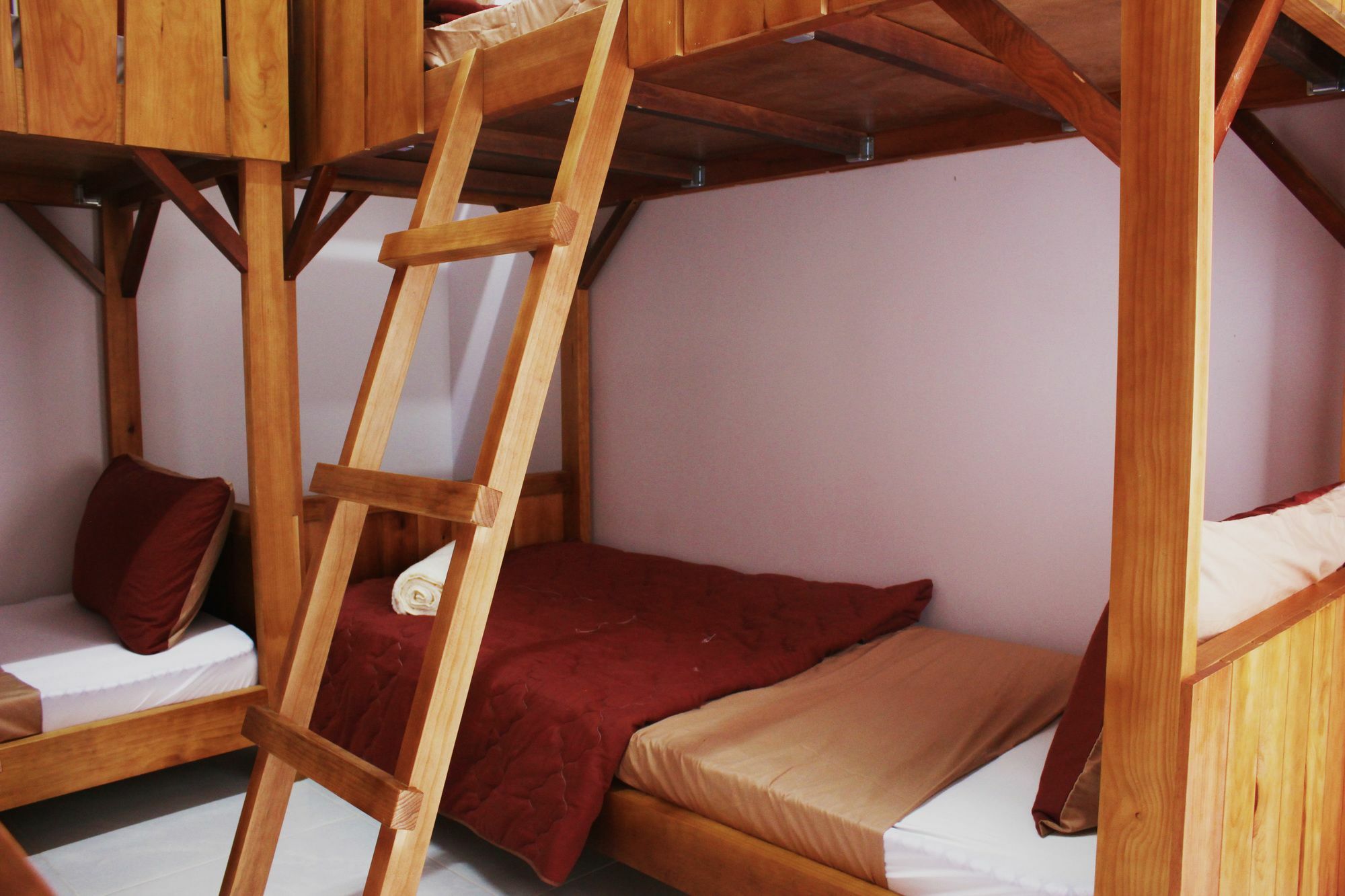 Tree House Hostel Νταλάτ Εξωτερικό φωτογραφία
