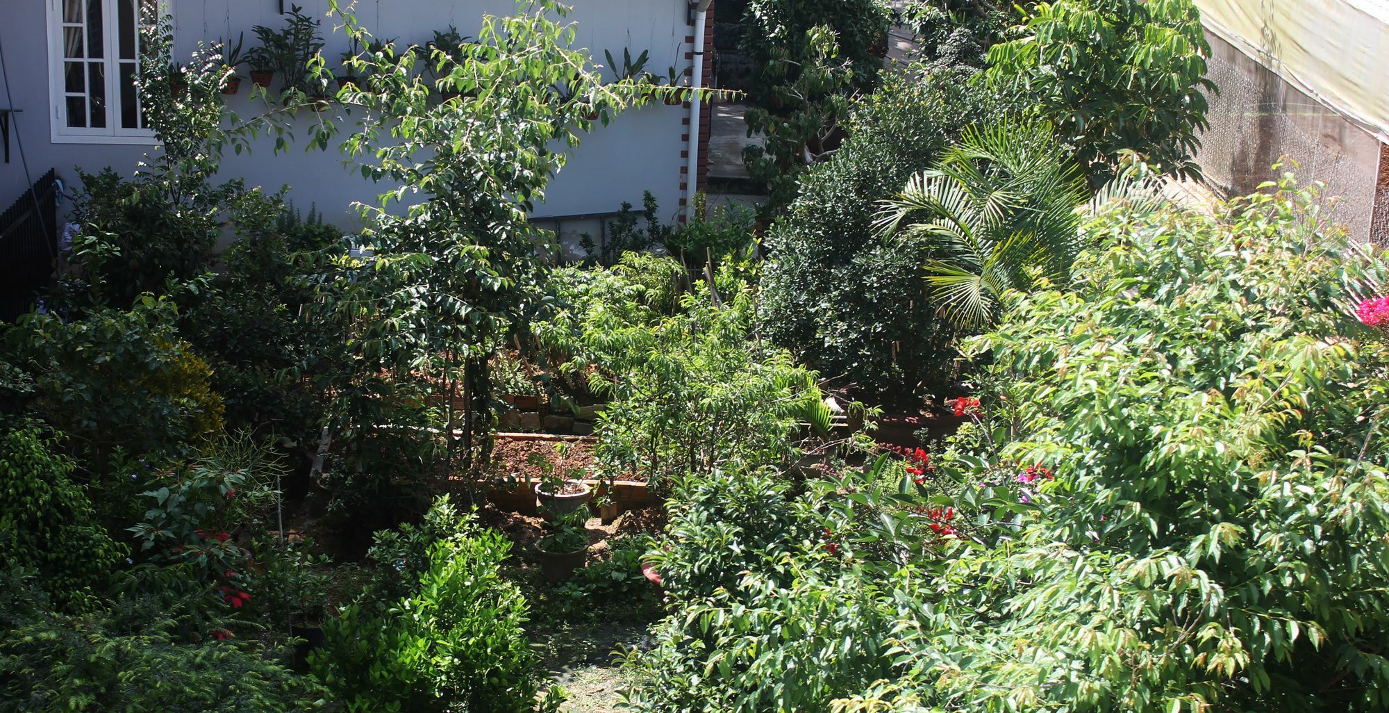 Tree House Hostel Νταλάτ Εξωτερικό φωτογραφία